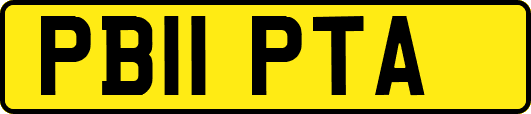 PB11PTA
