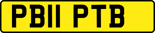 PB11PTB