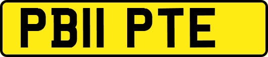 PB11PTE