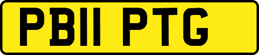 PB11PTG