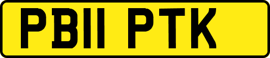 PB11PTK