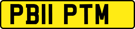 PB11PTM
