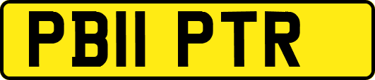 PB11PTR