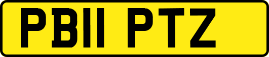 PB11PTZ