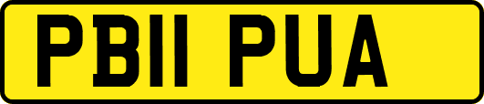 PB11PUA