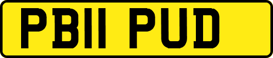 PB11PUD
