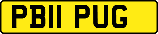 PB11PUG