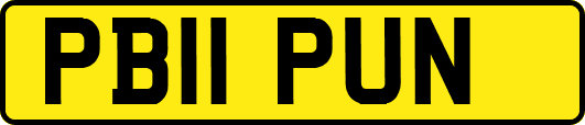 PB11PUN
