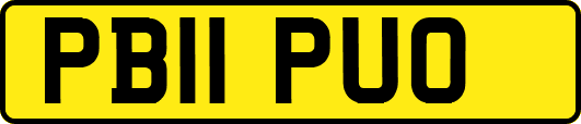 PB11PUO