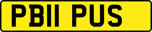 PB11PUS