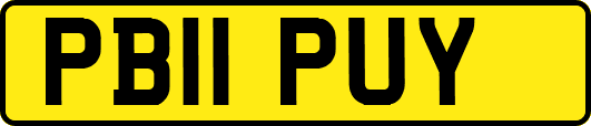 PB11PUY