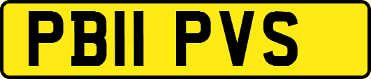 PB11PVS