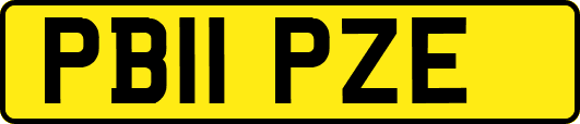 PB11PZE
