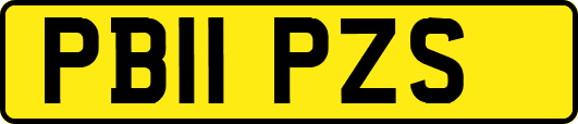 PB11PZS