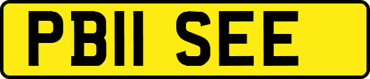 PB11SEE