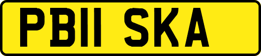 PB11SKA