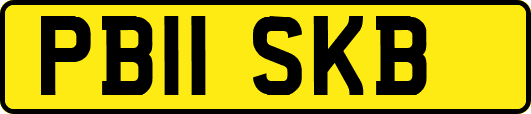 PB11SKB