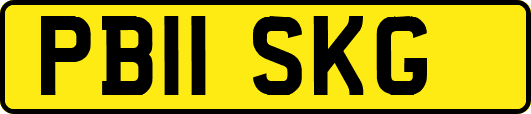 PB11SKG