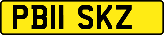 PB11SKZ