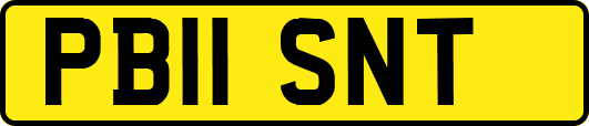 PB11SNT