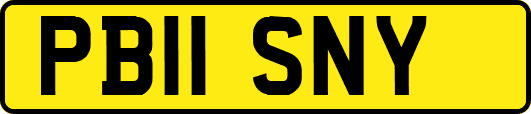 PB11SNY