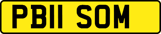 PB11SOM