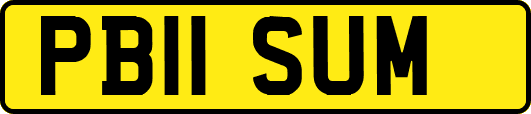 PB11SUM