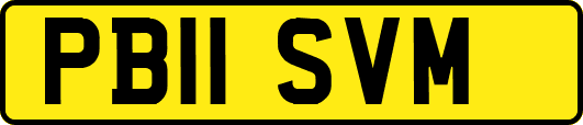 PB11SVM