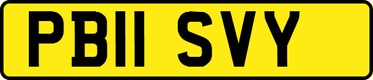 PB11SVY