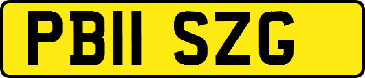 PB11SZG