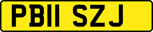 PB11SZJ