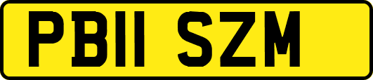 PB11SZM
