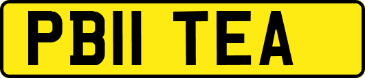 PB11TEA