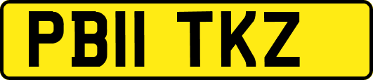 PB11TKZ