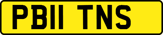 PB11TNS