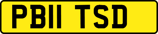 PB11TSD