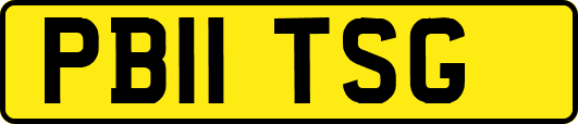 PB11TSG
