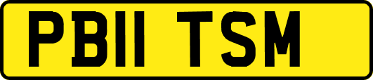 PB11TSM
