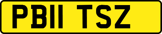 PB11TSZ