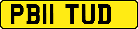 PB11TUD