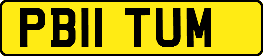 PB11TUM