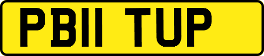 PB11TUP