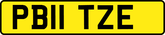 PB11TZE