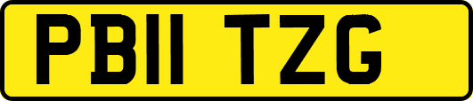 PB11TZG