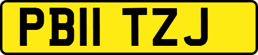 PB11TZJ