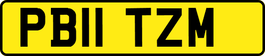 PB11TZM