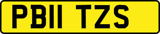 PB11TZS