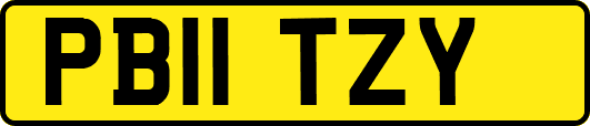 PB11TZY