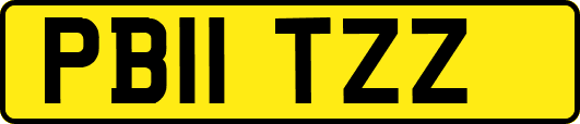 PB11TZZ