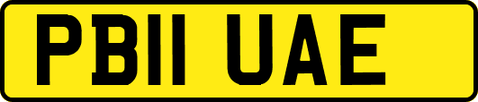 PB11UAE